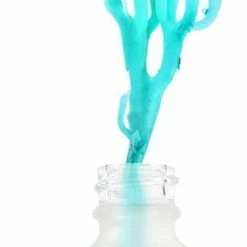 The Ordinary Marine Hyaluronics Serum-Salicylic Acid (BHA)-Hydratatie-hydraterend Serum -L’Oréal Paris SHOP 290x840