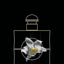 Yves Saint Laurent Opium 30 Ml - Eau De Toilette - Damesparfum 23 Yves Saint Laurent Opium 30 Ml - Eau De Toilette - Damesparfum -L’Oréal Paris SHOP 465x840 2