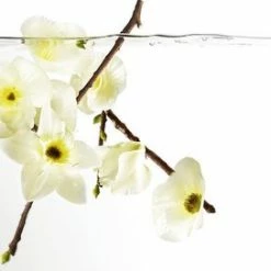 Issey Miyake L' Eau D'issey For Women - 25 Ml - Eau De Parfum -L’Oréal Paris SHOP 550x272