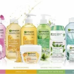 Garnier Skinactive Face Botanische Dagcr Me Met Rozenwater - 2 X 50ml - Voordeelverpakking -L’Oréal Paris SHOP 550x276