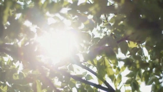 BO.NAIL BO.NAIL Cat Eye Collection 2 BO.NAIL BO.NAIL Cat Eye Collection - Afbeelding 2