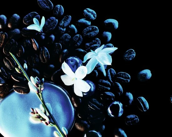 Yves Saint Laurent Black Opium Intense 90 Ml - Eau De Parfum - Damesparfum 12 Yves Saint Laurent Black Opium Intense 90 Ml - Eau De Parfum - Damesparfum - Afbeelding 12