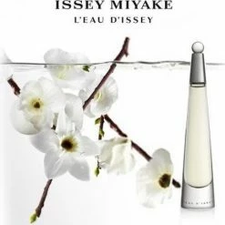 Issey Miyake L' Eau D'issey For Women - 25 Ml - Eau De Parfum -L’Oréal Paris SHOP 550x535 10