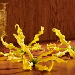 Gucci Guilty Pour Femme Eau De Parfum Intense -L’Oréal Paris SHOP 550x550 561