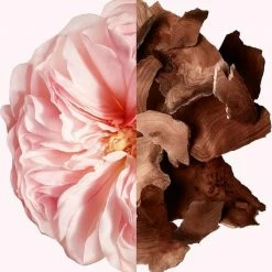 Givenchy Irresistible Eau De Parfum Spray 35 Ml -L’Oréal Paris SHOP 550x574 4