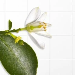 Decleor Aromessence Neroli Bigarade Serum 33 Decleor Aromessence Neroli Bigarade Serum -L’Oréal Paris SHOP 550x583 2