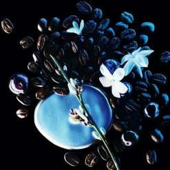 Yves Saint Laurent Black Opium Intense 90 Ml - Eau De Parfum - Damesparfum 22 Yves Saint Laurent Black Opium Intense 90 Ml - Eau De Parfum - Damesparfum -L’Oréal Paris SHOP 550x682