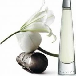 Issey Miyake L' Eau D'issey For Women - 25 Ml - Eau De Parfum -L’Oréal Paris SHOP 550x761